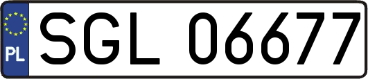 SGL06677