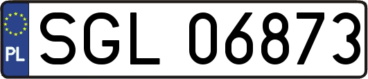SGL06873