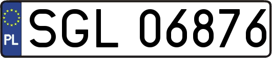 SGL06876