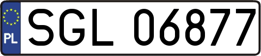 SGL06877