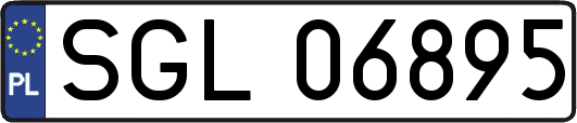 SGL06895