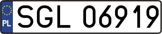 SGL06919