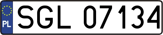 SGL07134