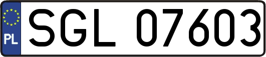 SGL07603