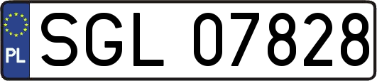 SGL07828