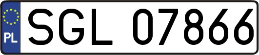 SGL07866