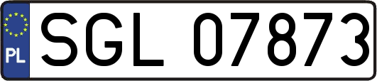 SGL07873