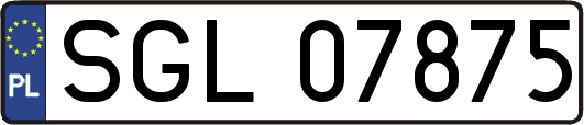SGL07875
