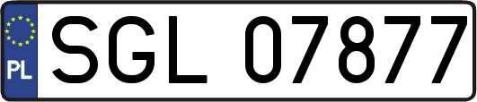 SGL07877