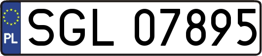 SGL07895