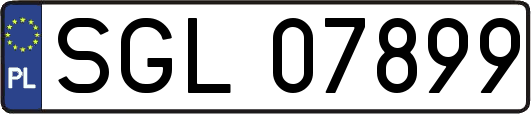 SGL07899