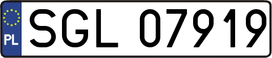 SGL07919