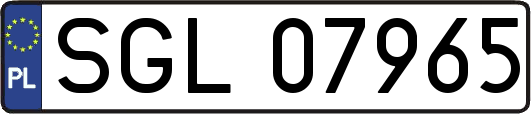 SGL07965
