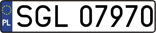 SGL07970