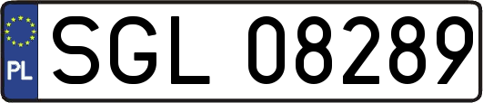 SGL08289