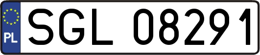 SGL08291