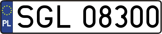 SGL08300