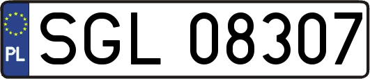 SGL08307