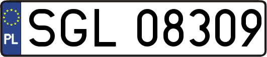 SGL08309