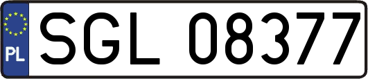 SGL08377