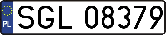 SGL08379