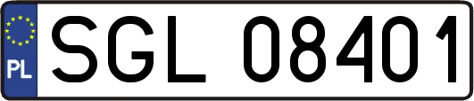 SGL08401