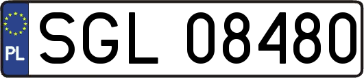 SGL08480
