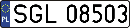SGL08503