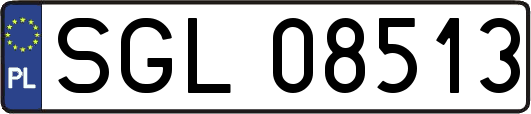 SGL08513