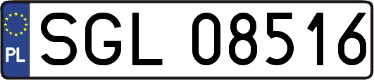 SGL08516