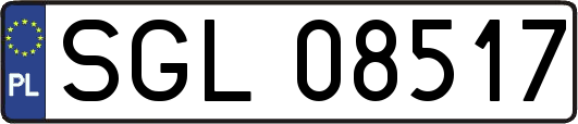 SGL08517