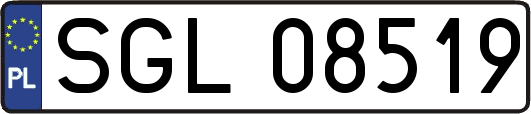SGL08519