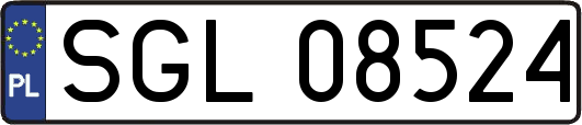 SGL08524