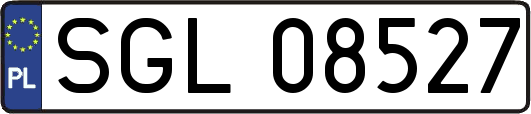 SGL08527