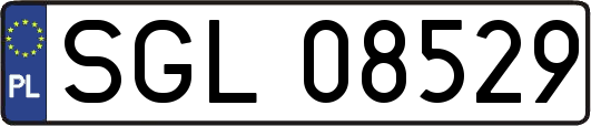 SGL08529