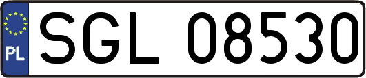 SGL08530