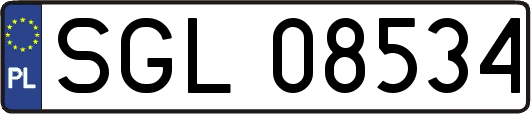 SGL08534