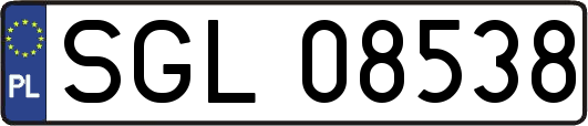 SGL08538