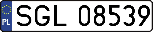 SGL08539