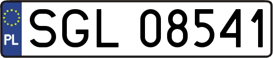 SGL08541