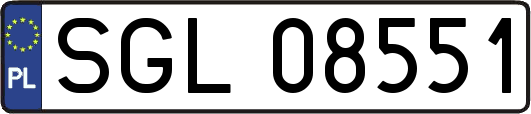 SGL08551