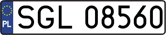 SGL08560