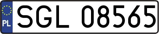 SGL08565