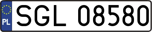 SGL08580