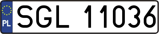 SGL11036