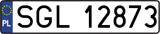 SGL12873