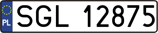 SGL12875
