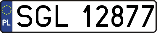 SGL12877