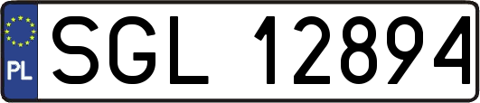SGL12894