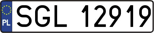 SGL12919